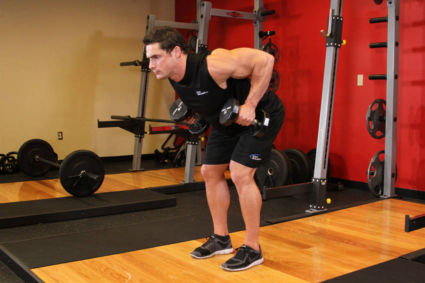 Bent Over Two-Dumbbell Row — end position, working the middle back