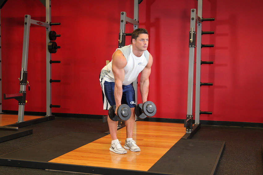 Bent Over Two-Dumbbell Row With Palms In — starting position, working the middle back