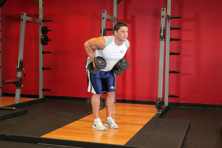 Bent Over Two-Dumbbell Row With Palms In — end position, working the middle back
