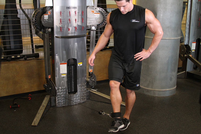 Cable Hip Adduction — end position, working the quads