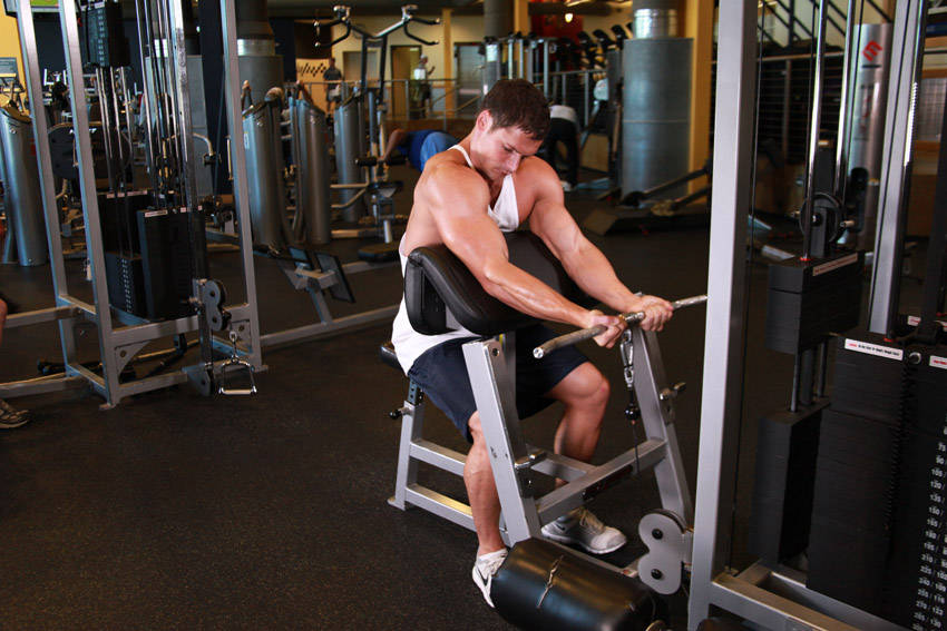 Cable Preacher Curl — starting position, working the biceps