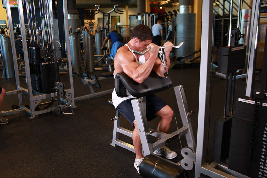 Cable Preacher Curl — end position, working the biceps