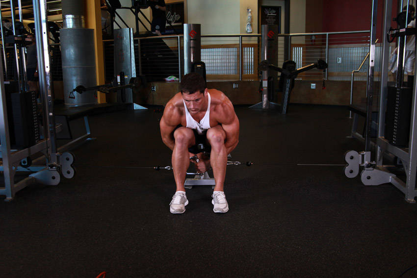 Cable Seated Lateral Raise — starting position, working the shoulders