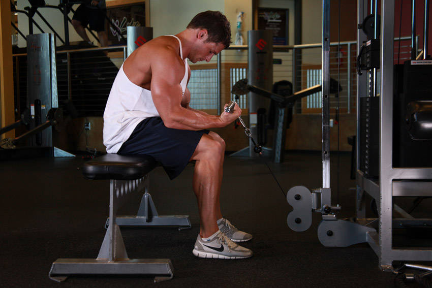 Cable Wrist Curl — end position, working the forearms