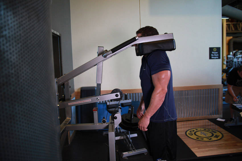 Calf-Machine Shoulder Shrug — end position, working the traps