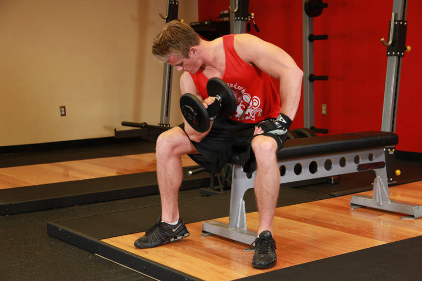 Concentration Curls — end position, working the biceps