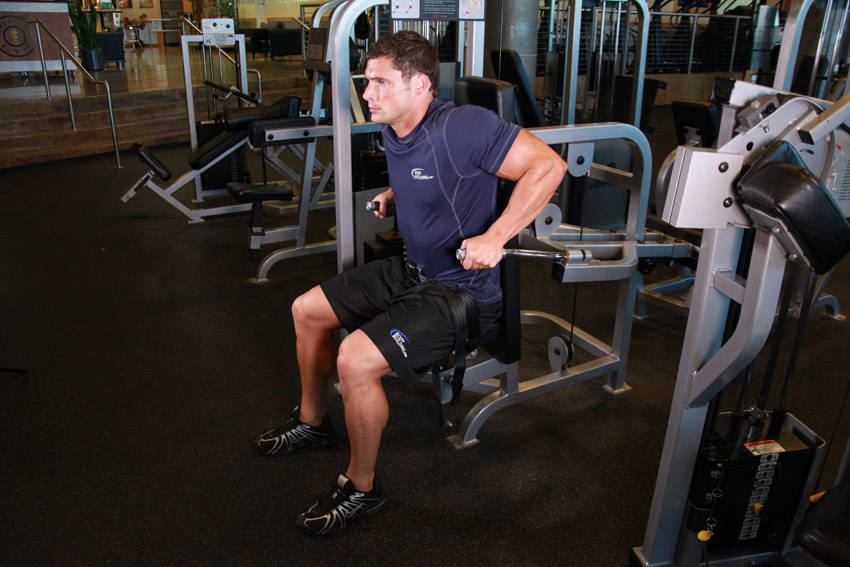 Dip Machine — starting position, working the triceps