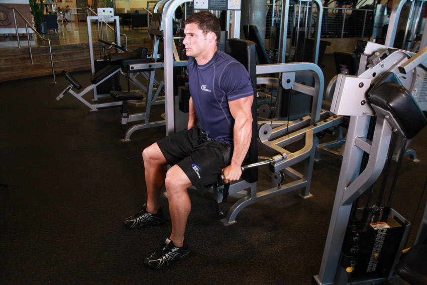 Dip Machine — end position, working the triceps