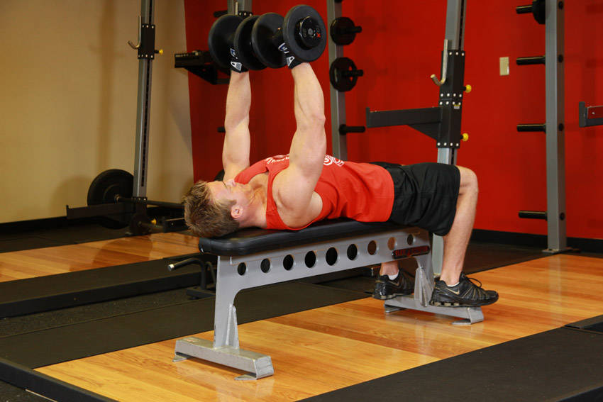 Dumbbell Bench Press — end position, working the chest