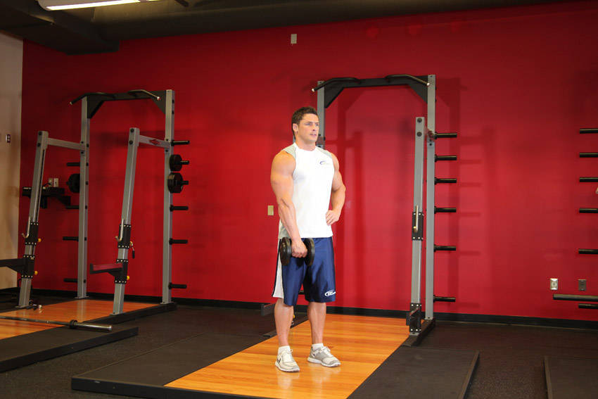 Dumbbell One-Arm Upright Row — end position, working the shoulders