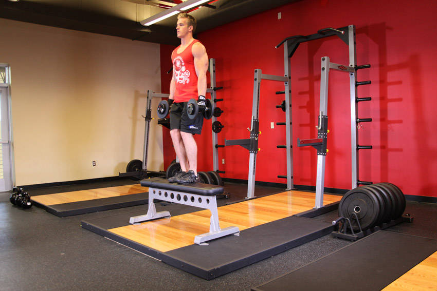 Dumbbell Step Ups — starting position, working the quads