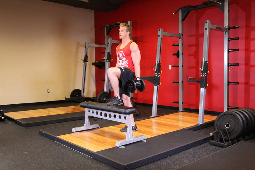 Dumbbell Step Ups — end position, working the quads