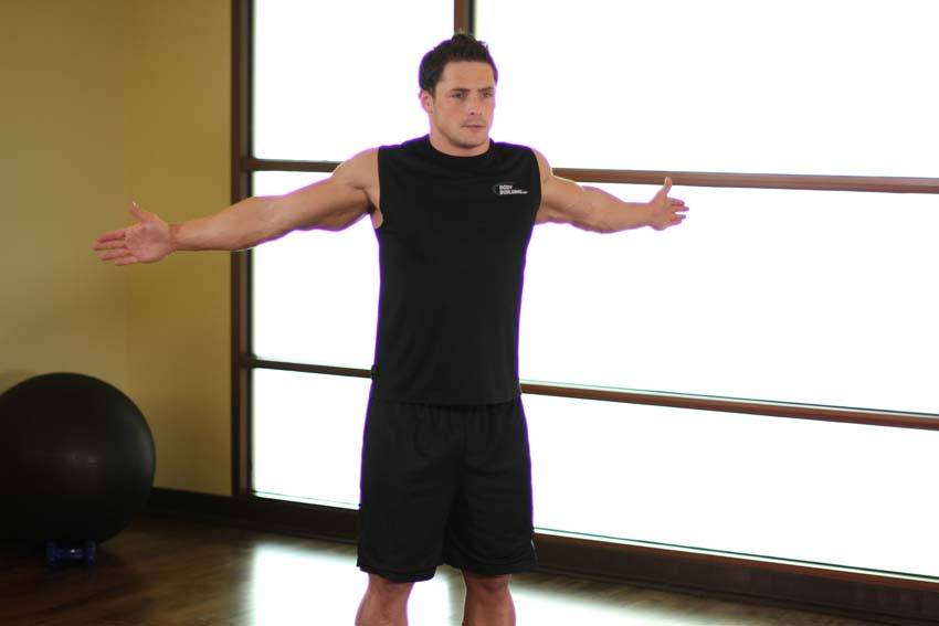 Dynamic Chest Stretch — end position, working the chest