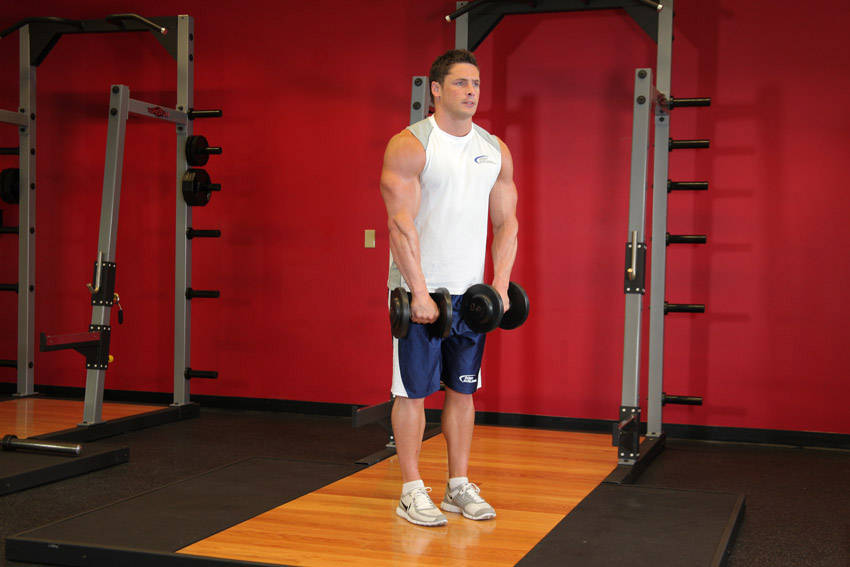 Front Dumbbell Raise — starting position, working the shoulders