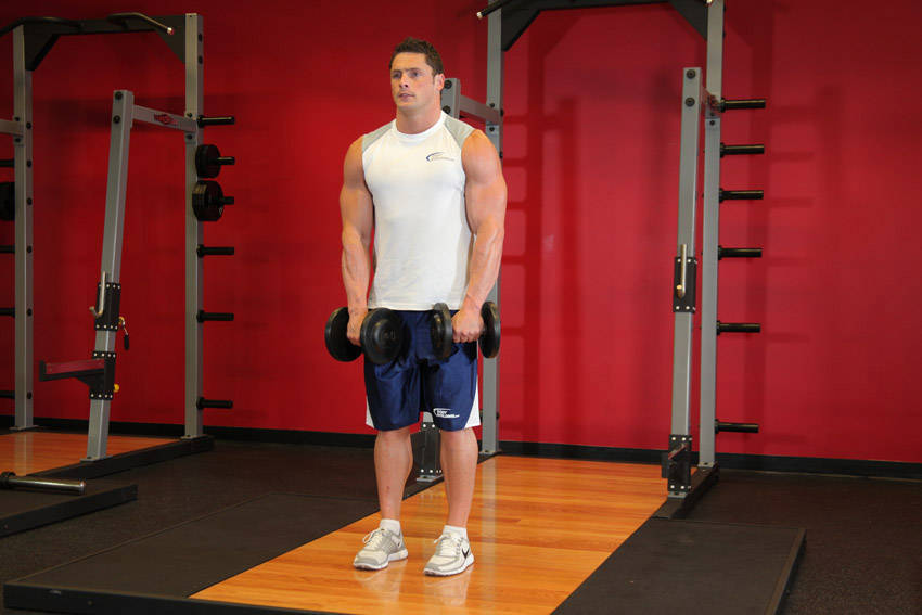 Front Two-Dumbbell Raise — starting position, working the shoulders