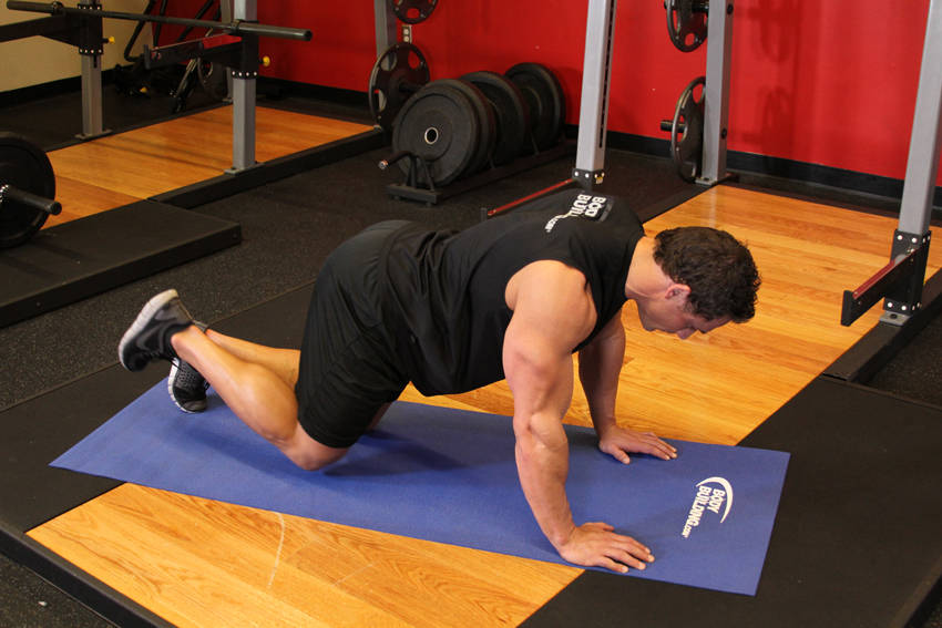 Glute Kickback — starting position, working the glutes