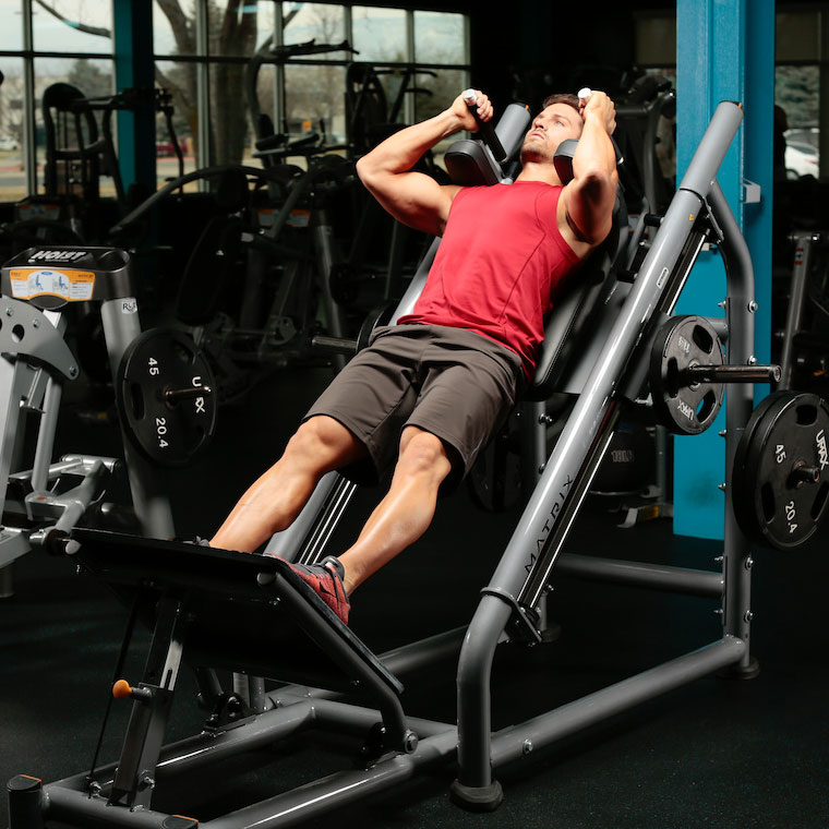 Hack Squat — starting position, working the quads