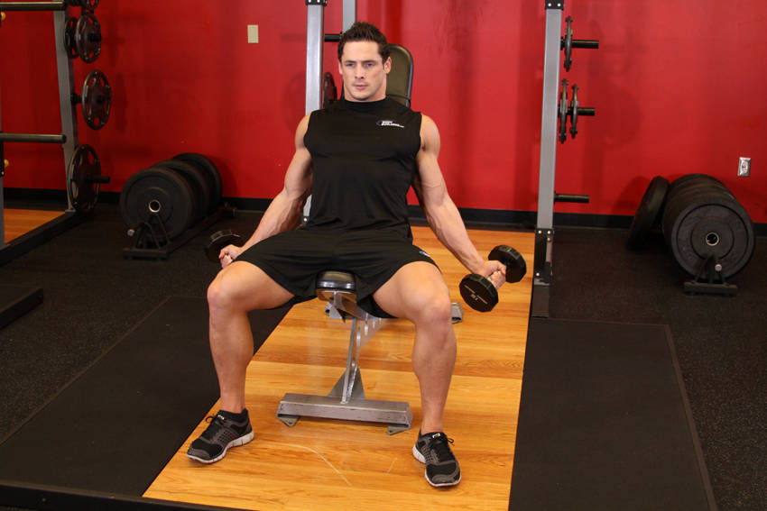 Incline Inner Biceps Curl — starting position, working the biceps