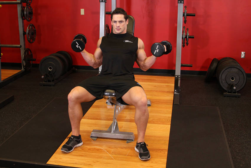 Incline Inner Biceps Curl — end position, working the biceps