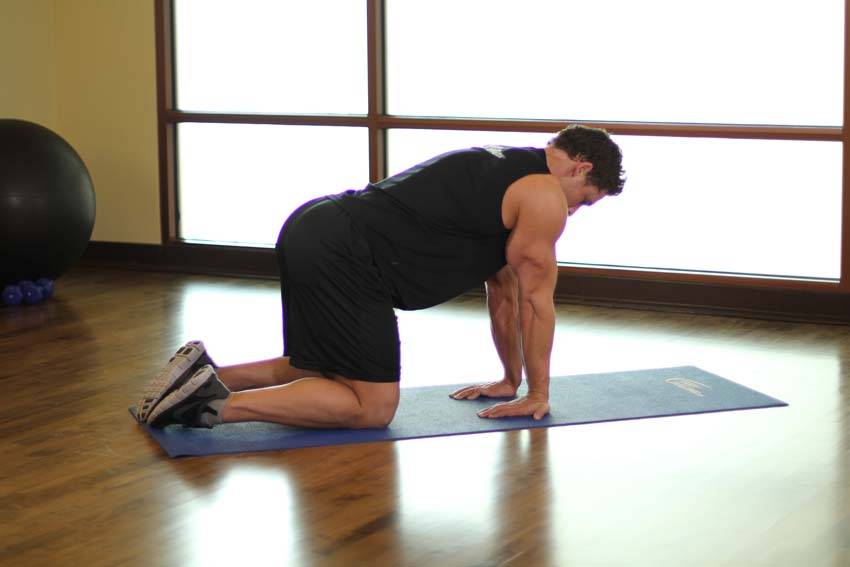 Kneeling Forearm Stretch — starting position, working the forearms