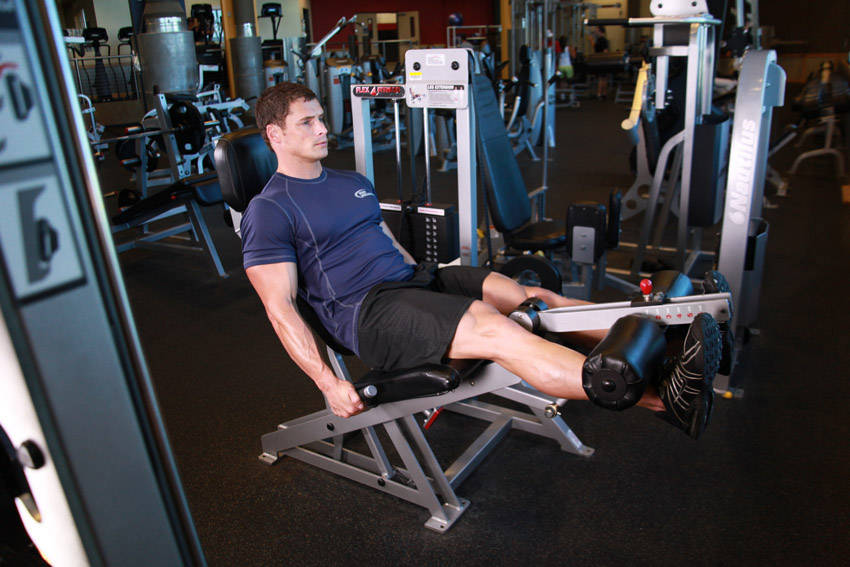 Leg Extensions — end position, working the quads