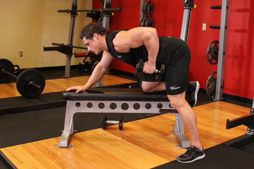 One-Arm Dumbbell Row — end position, working the middle back