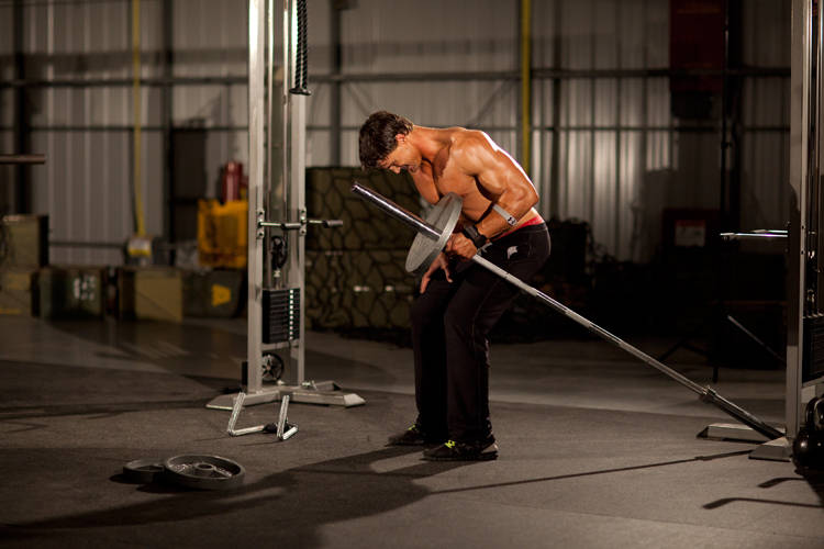 One-Arm Long Bar Row — end position, working the middle back