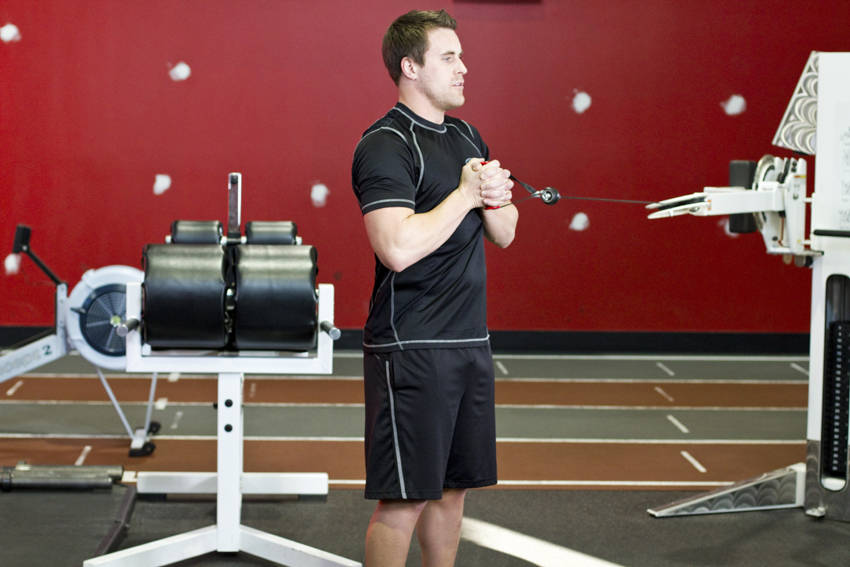 Pallof Press With Rotation — starting position, working the abs