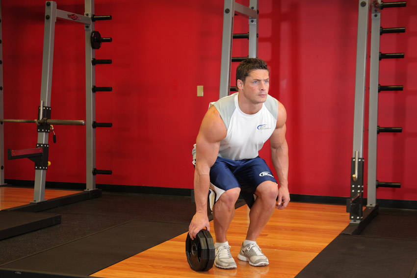 Plate Pinch — starting position, working the forearms