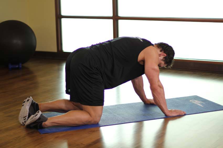 Rear Leg Raises — starting position, working the quads