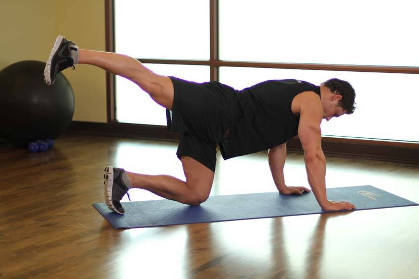 Rear Leg Raises — end position, working the quads