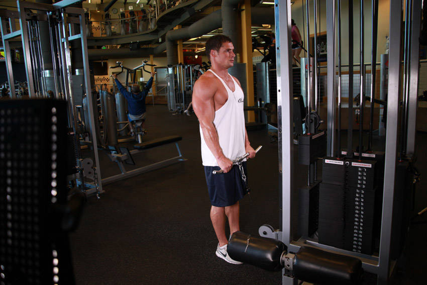 Reverse Cable Curl — end position, working the biceps