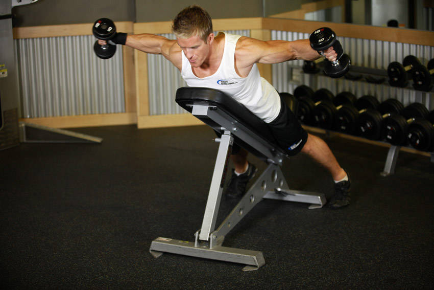 Reverse Flyes With External Rotation — end position, working the shoulders