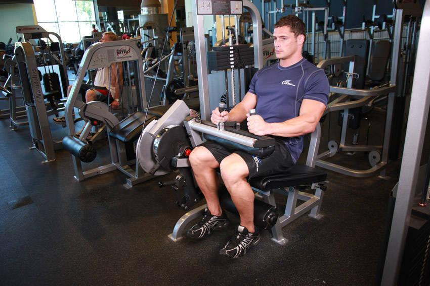 Seated Leg Curl — end position, working the hamstrings