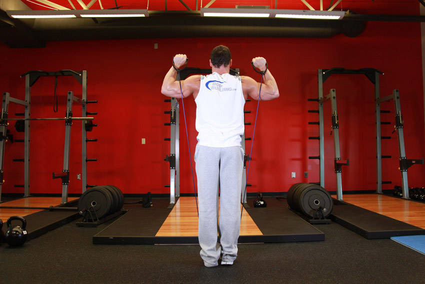 Shoulder Press - With Bands — starting position, working the shoulders