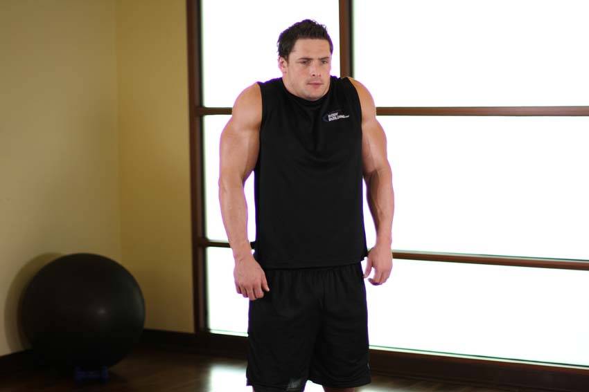 Shoulder Raise — end position, working the shoulders
