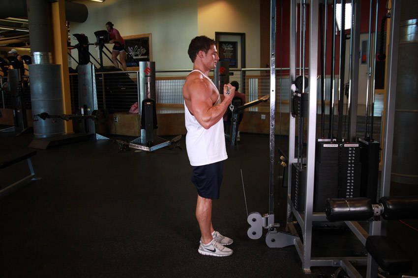 Standing Biceps Cable Curl — end position, working the biceps