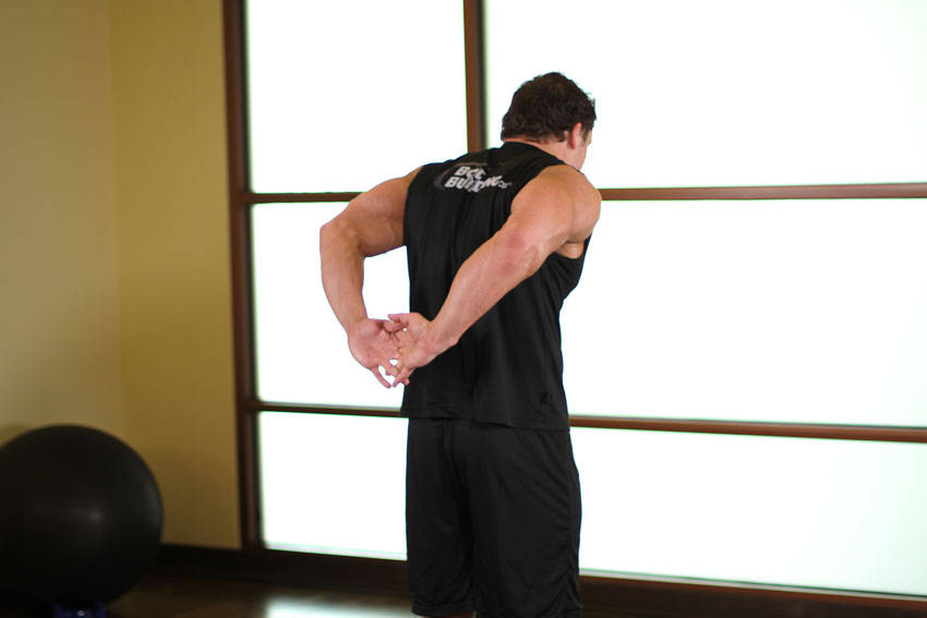 Standing Biceps Stretch — end position, working the biceps