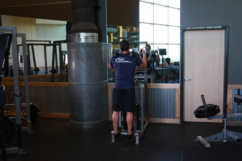 Standing Calf Raises — starting position, working the calves