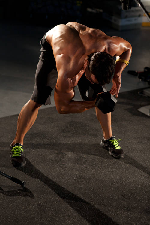 Standing Concentration Curl — end position, working the biceps