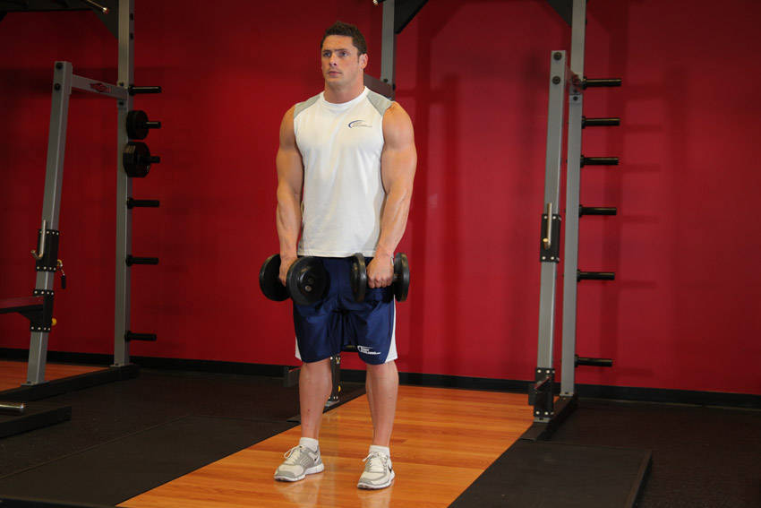 Standing Dumbbell Upright Row — end position, working the traps