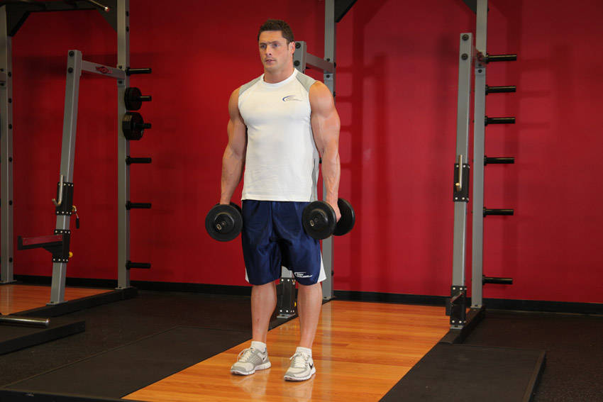 Standing Inner-Biceps Curl — starting position, working the biceps