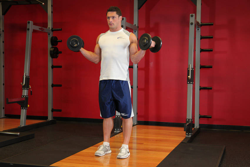 Standing Inner-Biceps Curl — end position, working the biceps