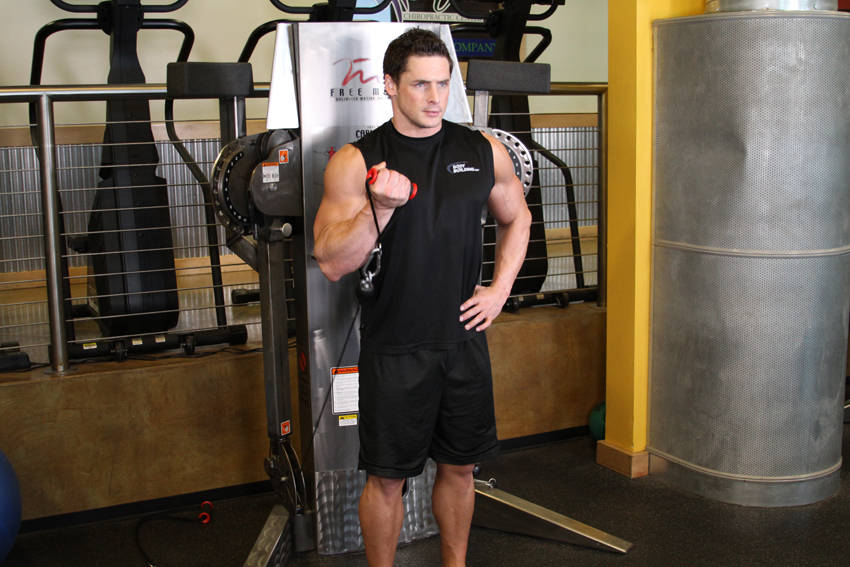 Standing One-Arm Cable Curl — end position, working the biceps