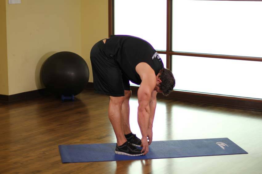 Standing Toe Touches — end position, working the hamstrings