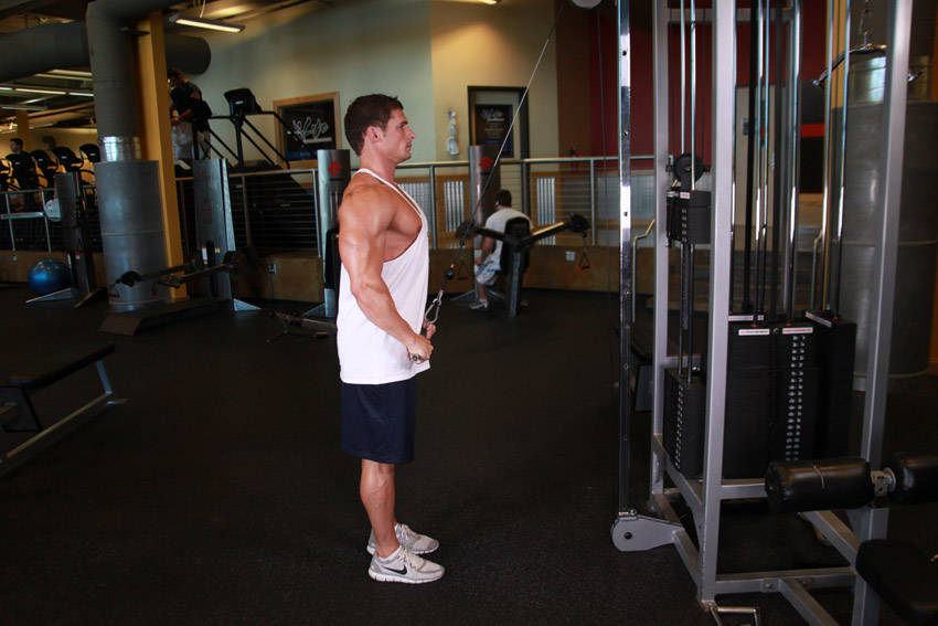 Straight-Arm Pulldown — end position, working the lats