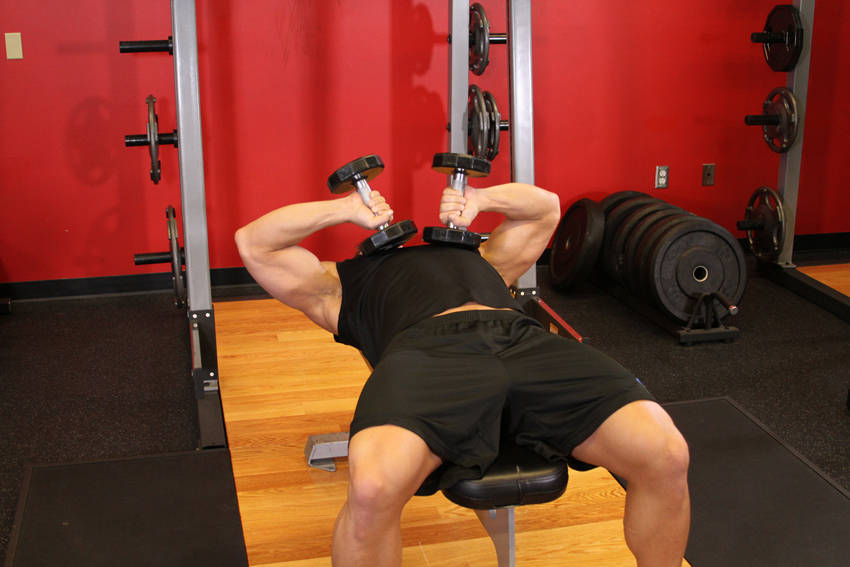 Tate Press — starting position, working the triceps