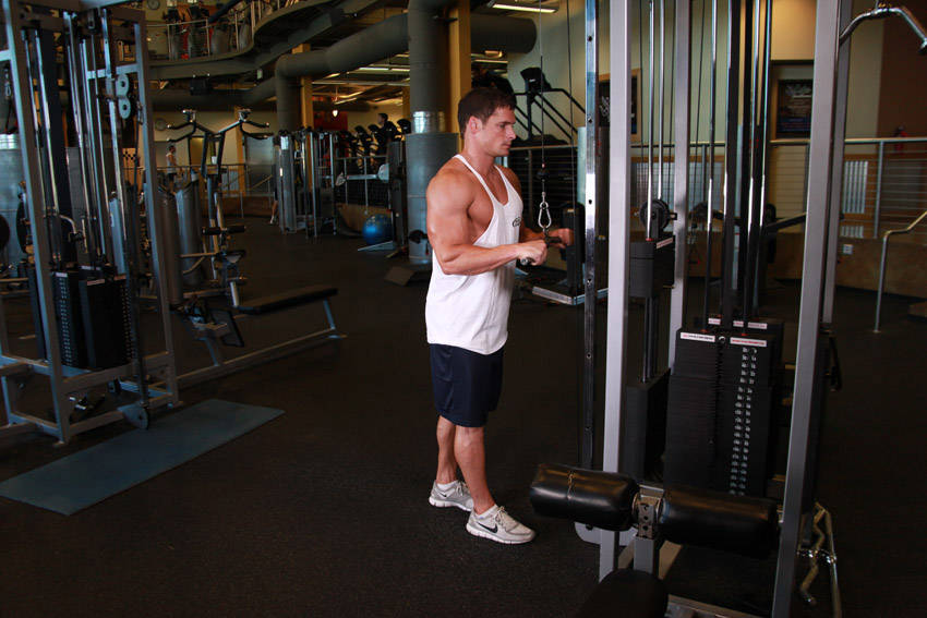 Triceps Pushdown — starting position, working the triceps
