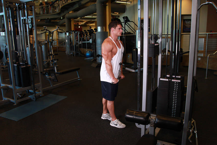 Triceps Pushdown — end position, working the triceps