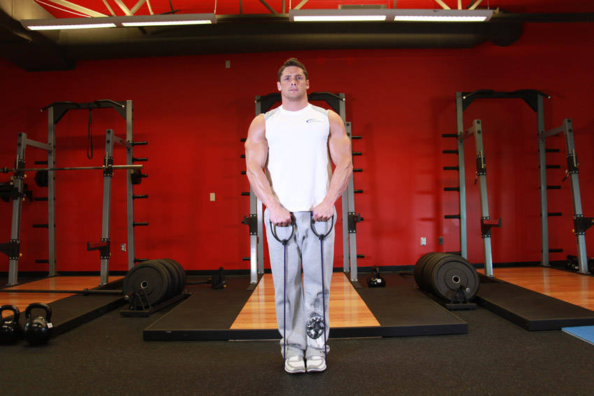 Upright Row - With Bands — starting position, working the traps